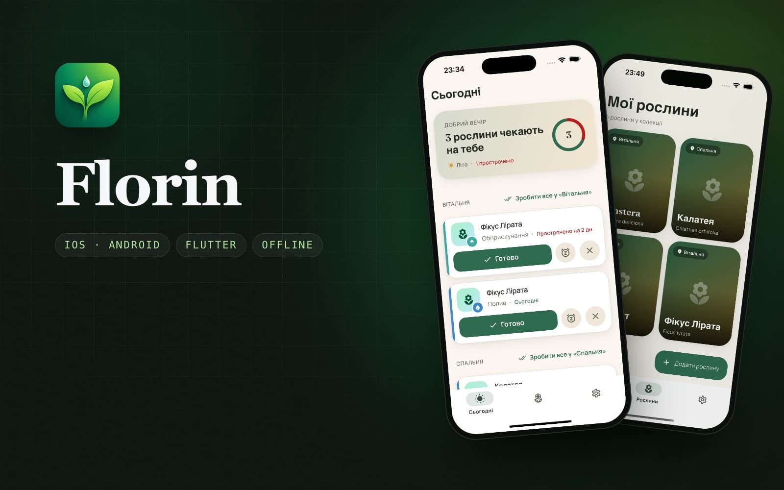 Florin
